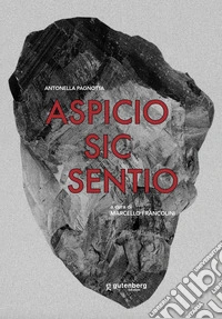 Aspicio sic sentio. Opere di Antonella Pagnotta libro