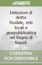 Istituzioni di diritto feudale, enti locali e giuspubblicistica nel Regno di Napoli libro