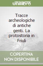 Tracce archeologiche di antiche genti. La protostoria in Friuli