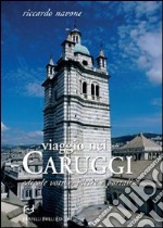 Viaggio nei caruggi. Edicole votive, pietre e portali. Ediz. illustrata libro