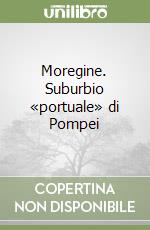 Moregine. Suburbio «portuale» di Pompei libro