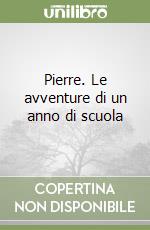 Pierre. Le avventure di un anno di scuola libro