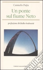 Un ponte sul fiume Neto libro