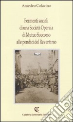 Fermenti sociali di una Società operaia di mutuo soccorso alle pendici del Reventino libro