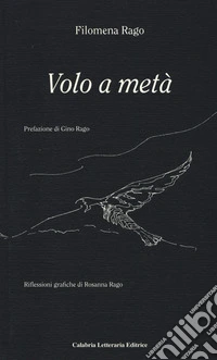 Volo a meta