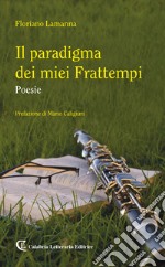 Il paradigma dei miei frattempi libro