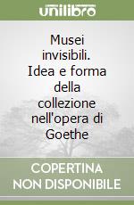 Musei invisibili. Idea e forma della collezione nell'opera di Goethe libro