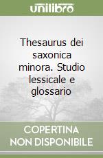 Thesaurus dei saxonica minora. Studio lessicale e glossario