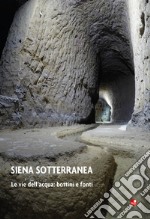 Siena sotterranea. Le vie dell'acqua: bottini e fonti