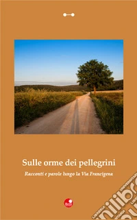 Sulle Orme Dei Pellegrini. Racconti E Parole Lungo La Via Francigena libro