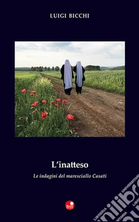 L'inatteso. Le indagini del maresciallo Casati libro