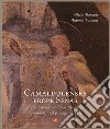 Camaldulenses prope Senas. Storia e immagini di antichi cenobi camaldolesi nel paesaggio senese libro
