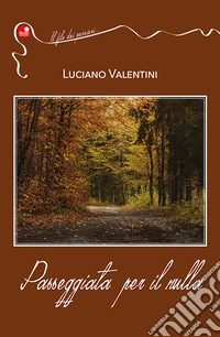 Passeggiata per il nulla libro