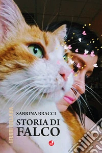 Storia di Falco libro