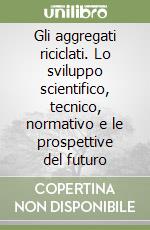 Gli aggregati riciclati. Lo sviluppo scientifico, tecnico, normativo e le prospettive del futuro libro