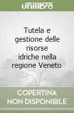 Tutela e gestione delle risorse idriche nella regione Veneto