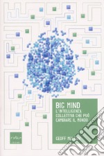 Big mind. L'intelligenza collettiva che può cambiare il mondo libro