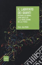 Il labirinto dei quanti. Richard Feynman, John Wheeler e la rivoluzione della fisica libro