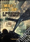 Le meraviglie del Duemila libro