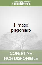 Il mago prigioniero