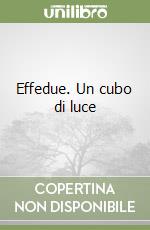 Effedue. Un cubo di luce libro