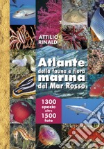 Atlante della fauna e flora marina del Mar Rosso. Ediz. illustrata