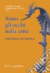 Sotto gli occhi nella città. Dettagli d'Imola libro