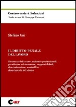 Il diritto penale del lavoro. Sicurezza del lavoro, malattie professionali, previdenza ed assistenza, soggetti deboli, discriminazione...