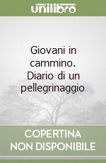 Giovani in cammino. Diario di un pellegrinaggio libro