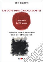 Sai dove impiccano la notte? Romanzo in 144 stanze. Videoclips, sbron ze mistico-pulp, black bloc e trenodia rock