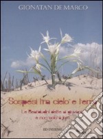 Sospesi tra cielo e terra. Le beatitudini dette ai giovani... e non solo a loro libro