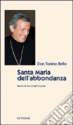 Santa Maria dell'abbondanza libro