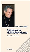 Santa Maria dell'abbondanza libro