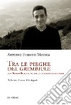 Tra le pieghe del grembiule. Don Tonino Bello: il potere di un segno come sintesi libro