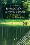 Spendidi riflessi di ciò che ci manca. Il cinema di Koreeda Hirokazu libro