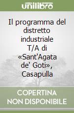 Il programma del distretto industriale T/A di «Sant'Agata de' Goti», Casapulla libro