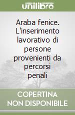 Araba fenice. L'inserimento lavorativo di persone provenienti da percorsi penali libro