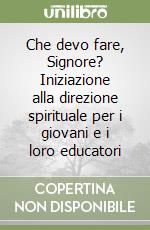 Che devo fare, Signore? Iniziazione alla direzione spirituale per i giovani e i loro educatori libro