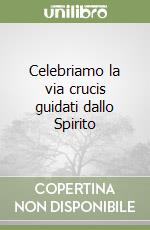 Celebriamo la via crucis guidati dallo Spirito libro