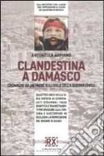 Clandestina a Damasco. Cronache da un paese sull'orlo della guerra civile libro