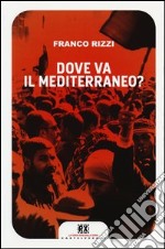 Dove va il Mediterraneo? libro