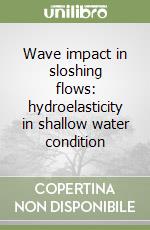 Wave impact in sloshing flows: hydroelasticity in shallow water condition