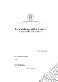 The evolution of spilling breakers: experiments and analyses