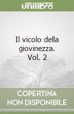 Il vicolo della giovinezza. Vol. 2 libro