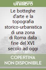 Le botteghe d'arte e la topografia storico-urbanistica di una zona di Roma dalla fine del XVI secolo ad oggi libro