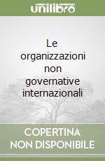 Le organizzazioni non governative internazionali