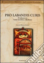 Pro labandis curis. Il balneum tra tarda antichità e Medioevo libro