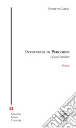 Intuizioni di percorso e piccoli incidenti libro