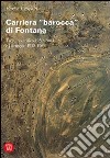 Carriera «barocca» di Fontana. Taccuino critico 1959-2004 e Carteggio 1958-1967 libro