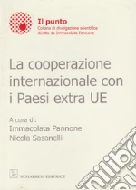 La cooperazione internazionale con i paesi extra UE